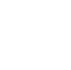 X Icon